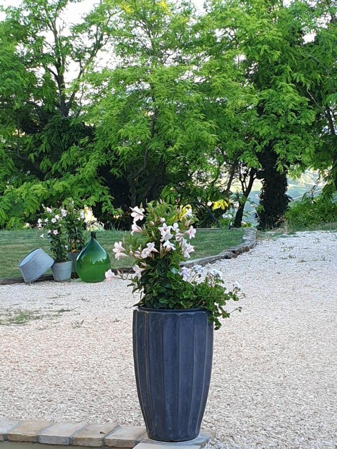 B & B La Primavera Pergola Bagian luar foto