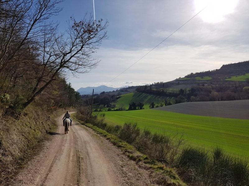 B & B La Primavera Pergola Bagian luar foto