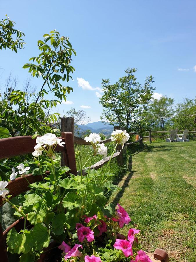 B & B La Primavera Pergola Bagian luar foto